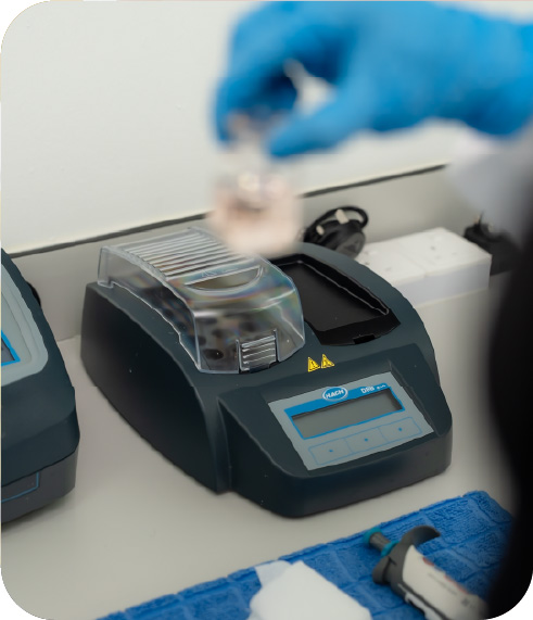 Laboratory